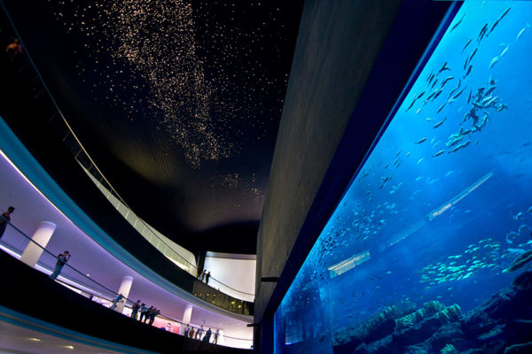 Dubai Aquarium at The Dubai Mall